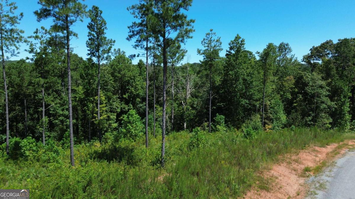 0 Vista Creek Drive Talking Rock GA 30175