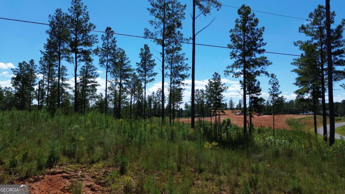 0 Vista Creek Drive Talking Rock GA 30175