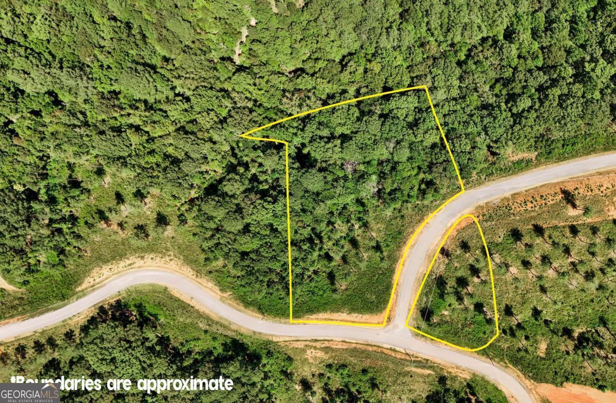 0 Vista Creek Drive Talking Rock GA 30175