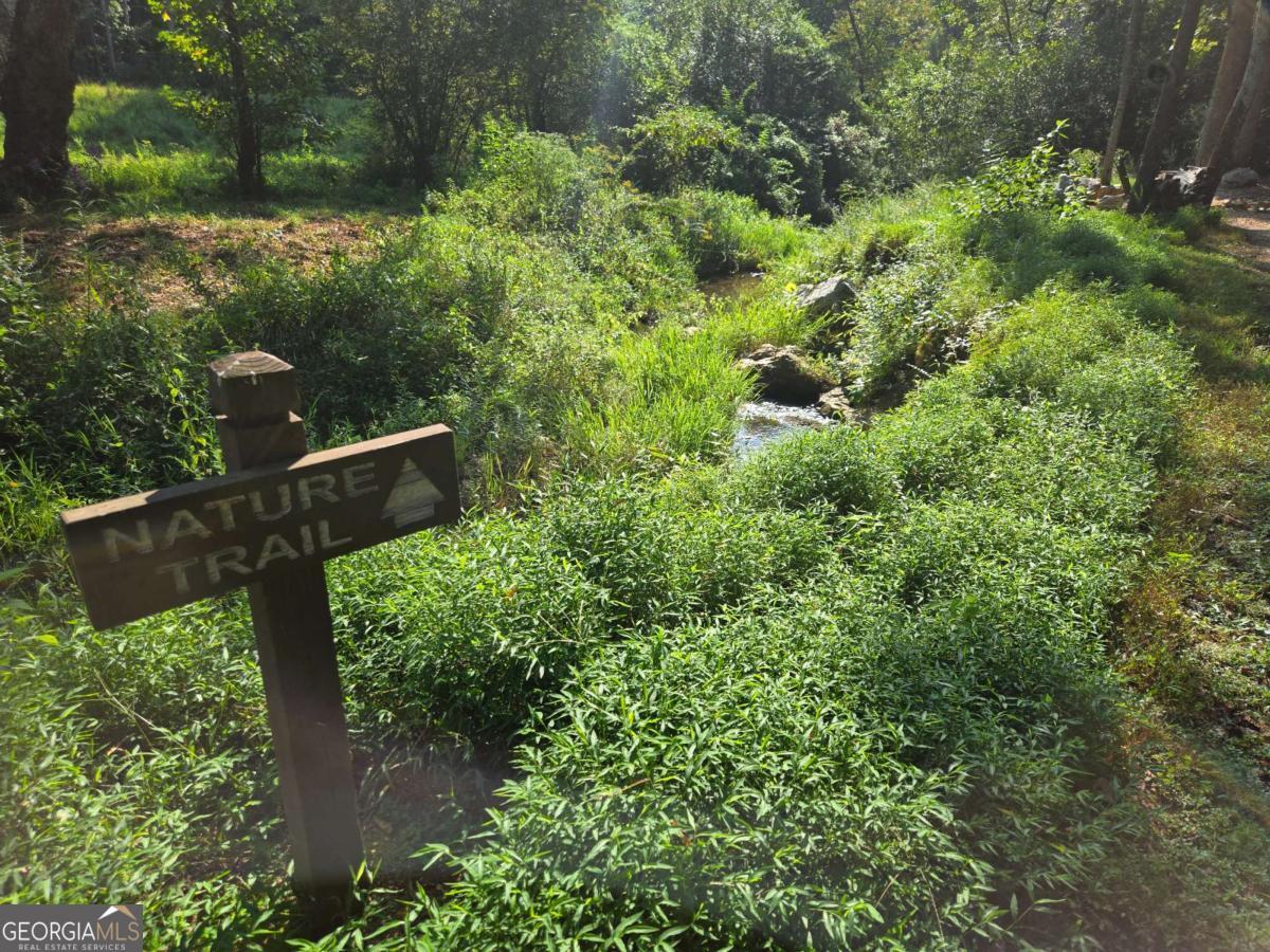0 Vista Creek Drive Talking Rock GA 30175