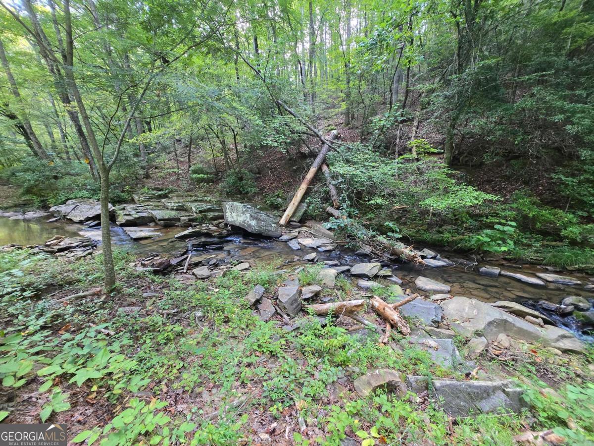 0 Vista Creek Drive Talking Rock GA 30175