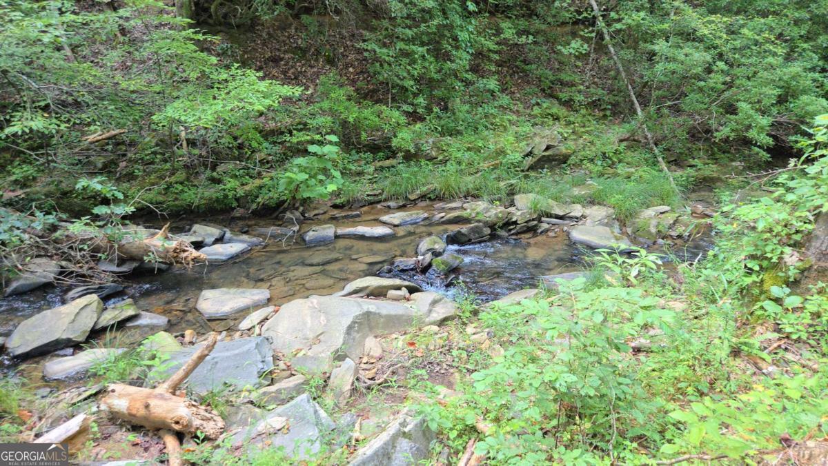 0 Vista Creek Drive Talking Rock GA 30175
