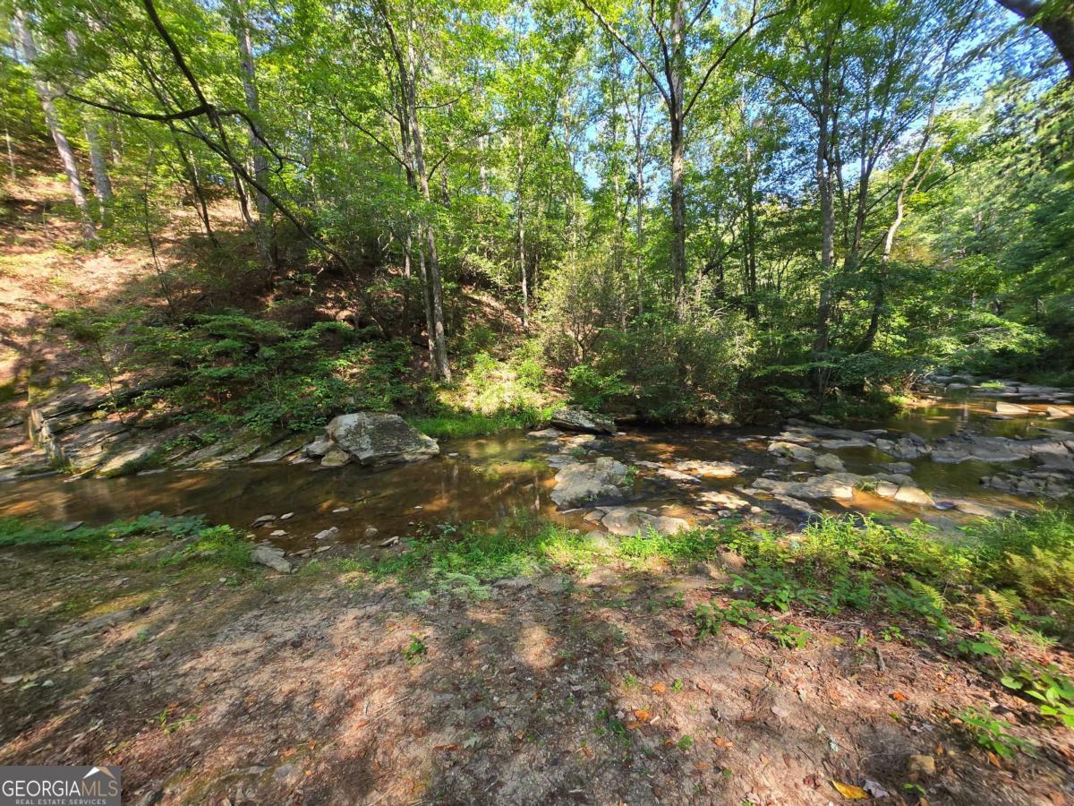 0 Vista Creek Drive Talking Rock GA 30175