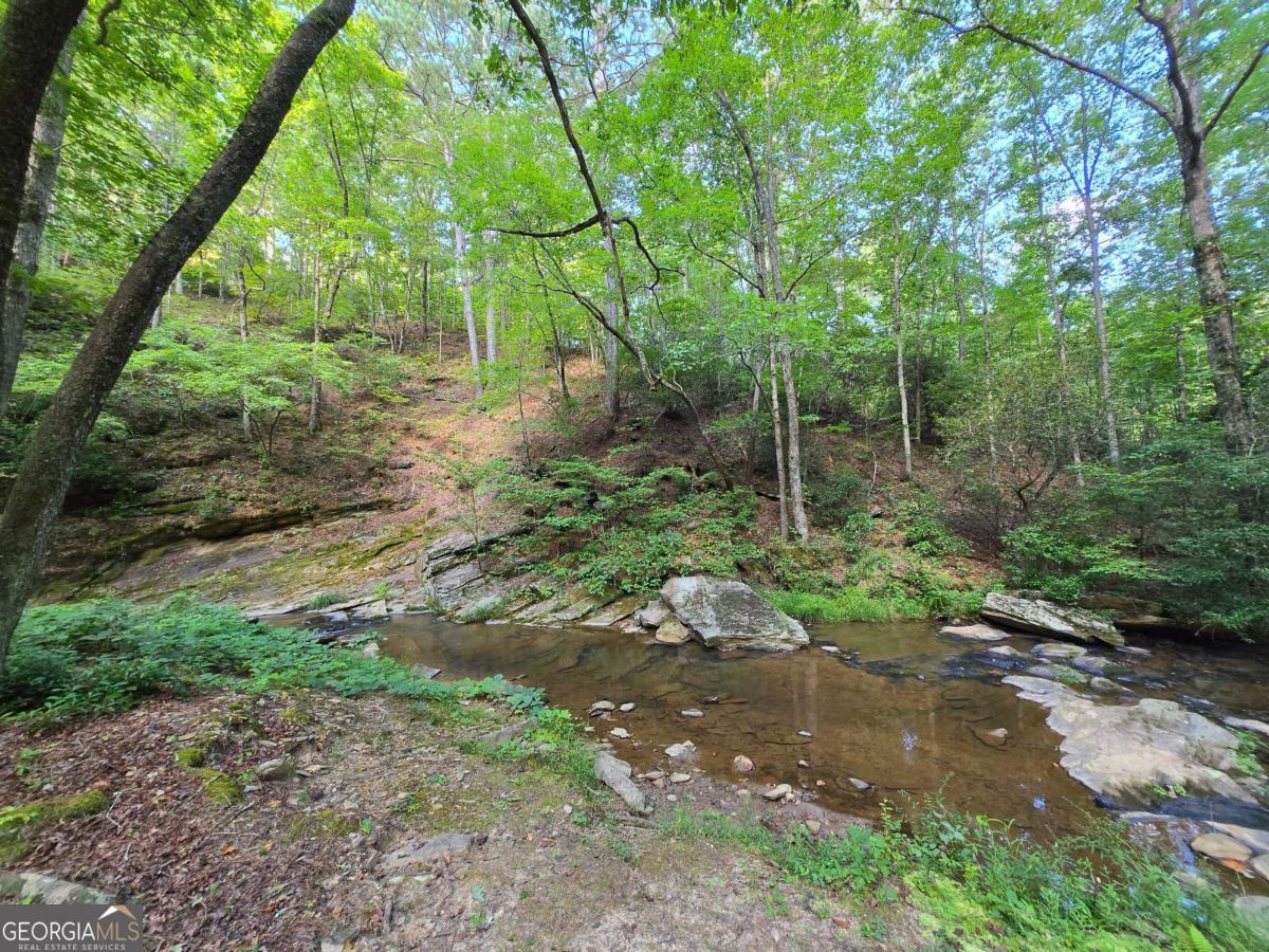 0 Vista Creek Drive Talking Rock GA 30175
