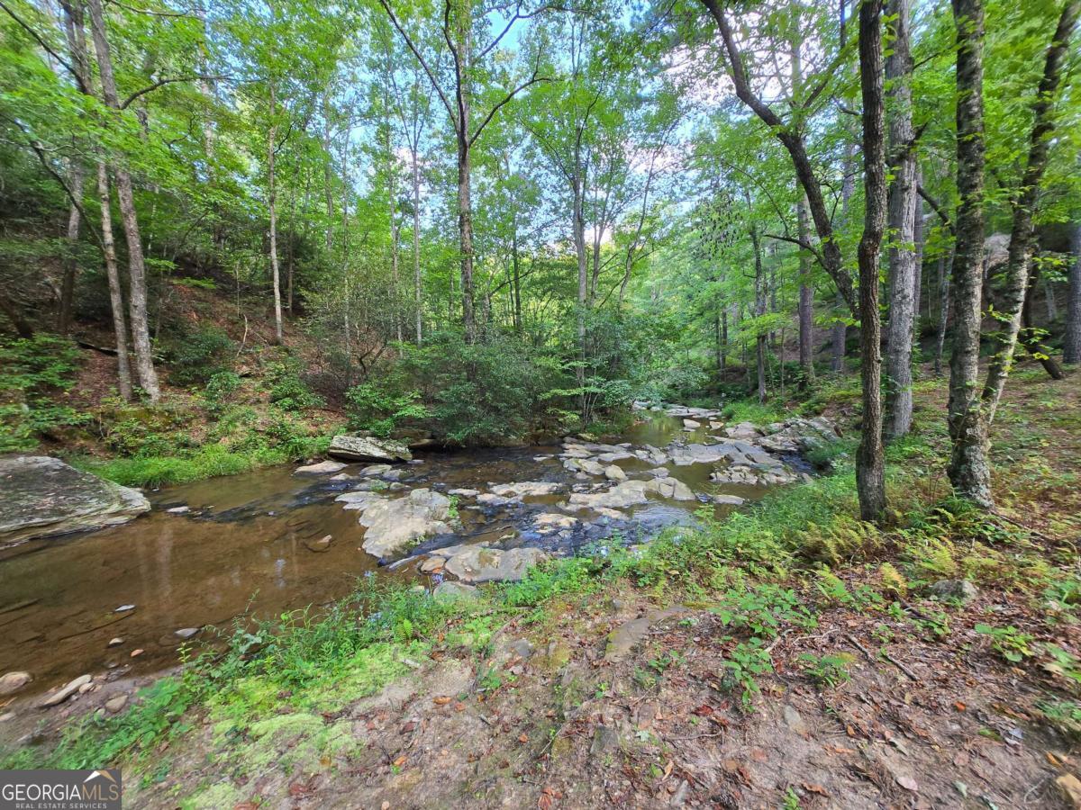 0 Vista Creek Drive Talking Rock GA 30175