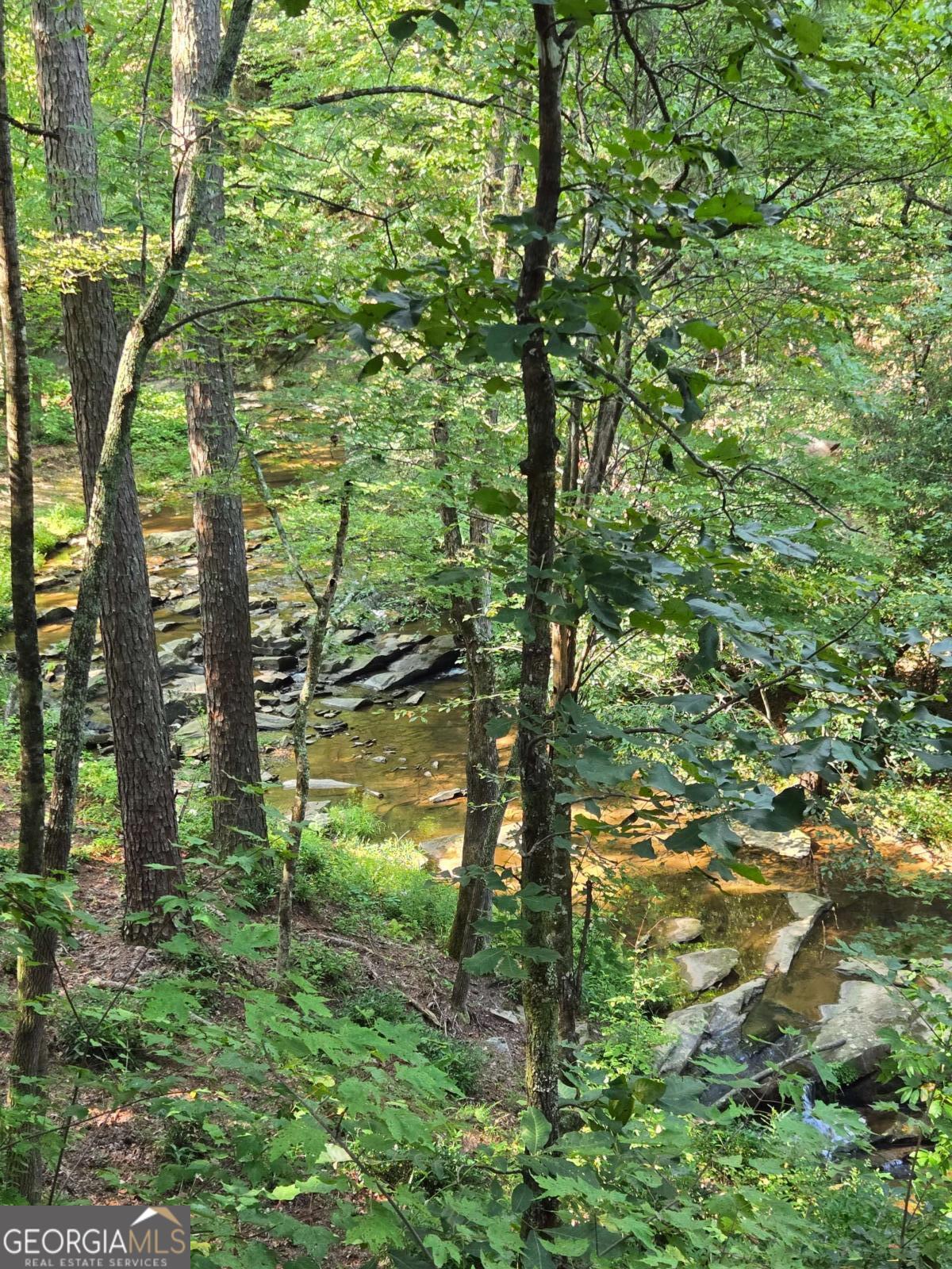 0 Vista Creek Drive Talking Rock GA 30175