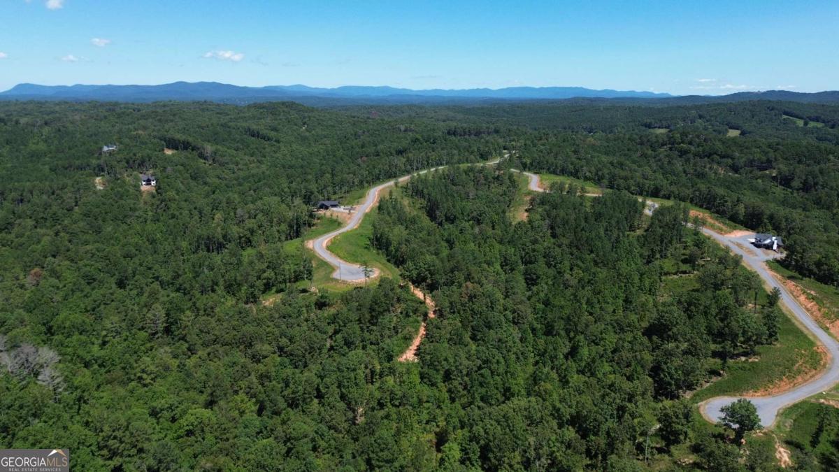 0 Vista Creek Drive Talking Rock GA 30175