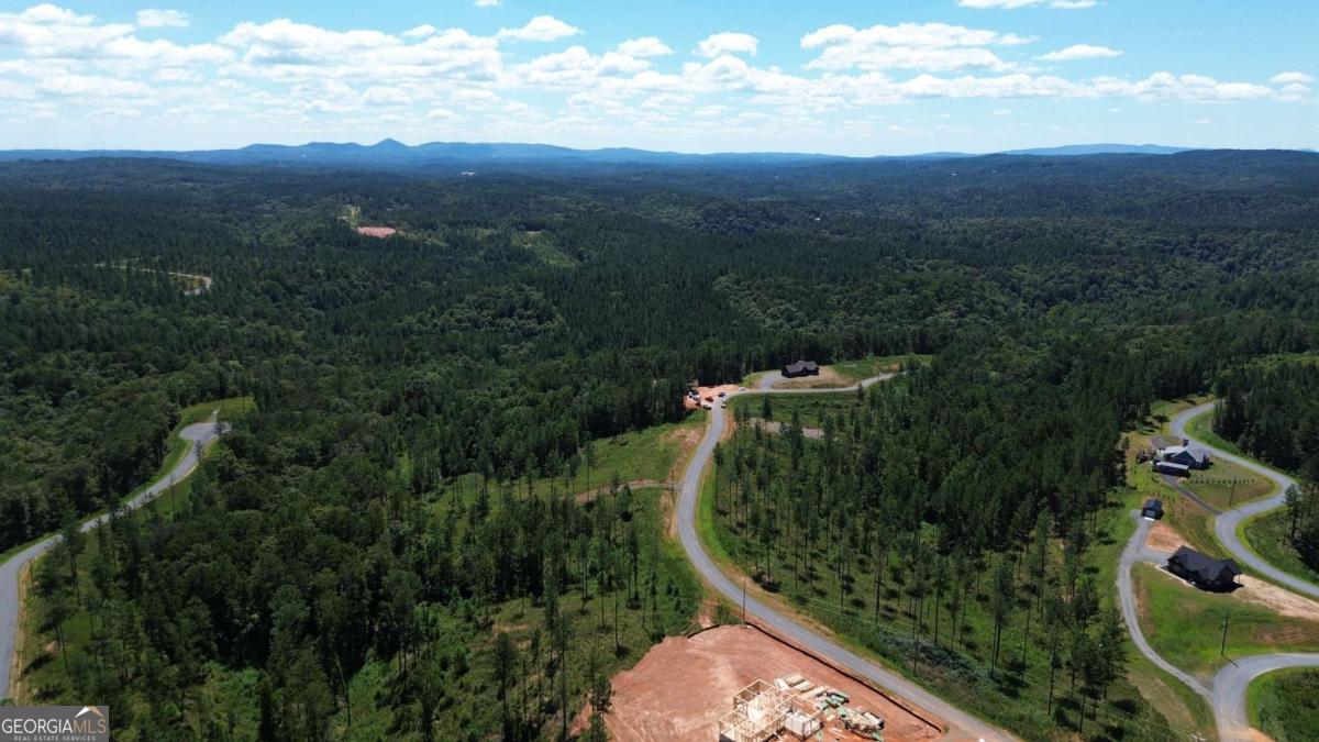 0 Vista Creek Drive Talking Rock GA 30175