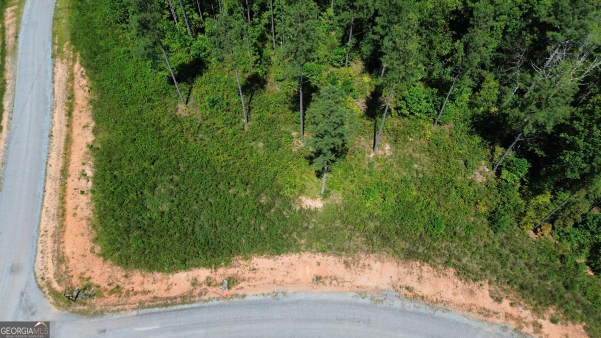0 Vista Creek Drive Talking Rock GA 30175