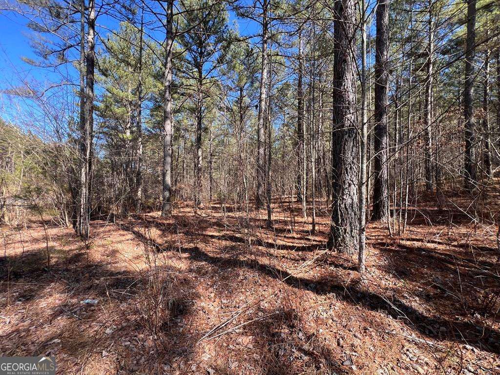 Lot 50 Deyton Drive Blairsville GA 30512