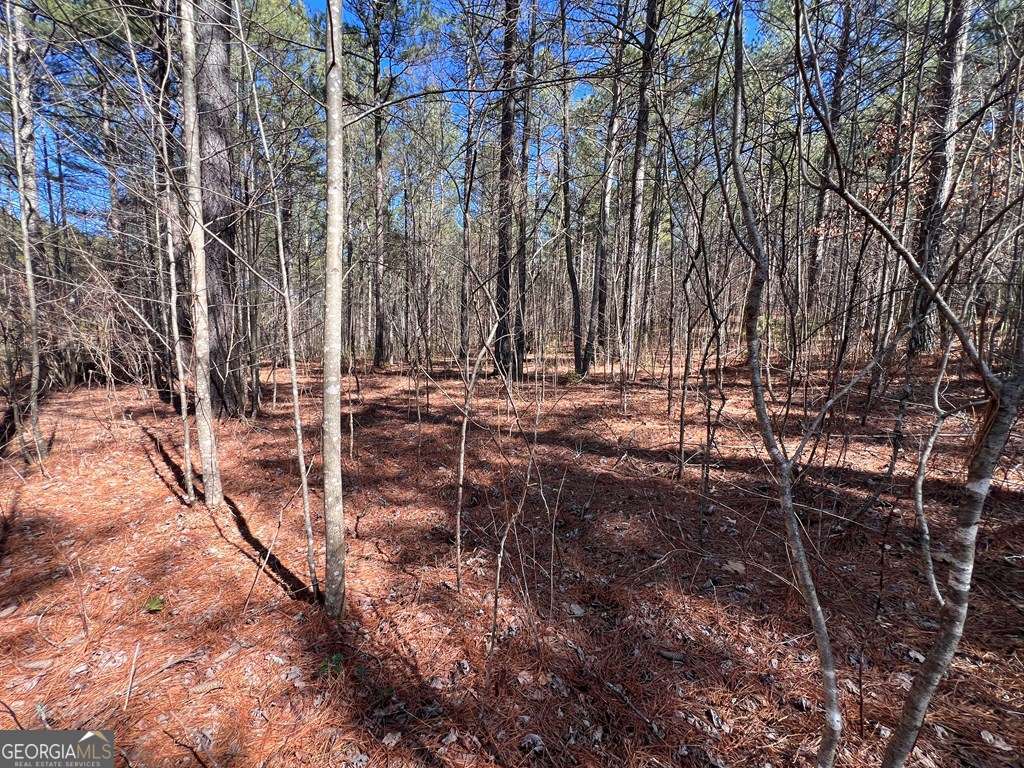 Lot 50 Deyton Drive Blairsville GA 30512