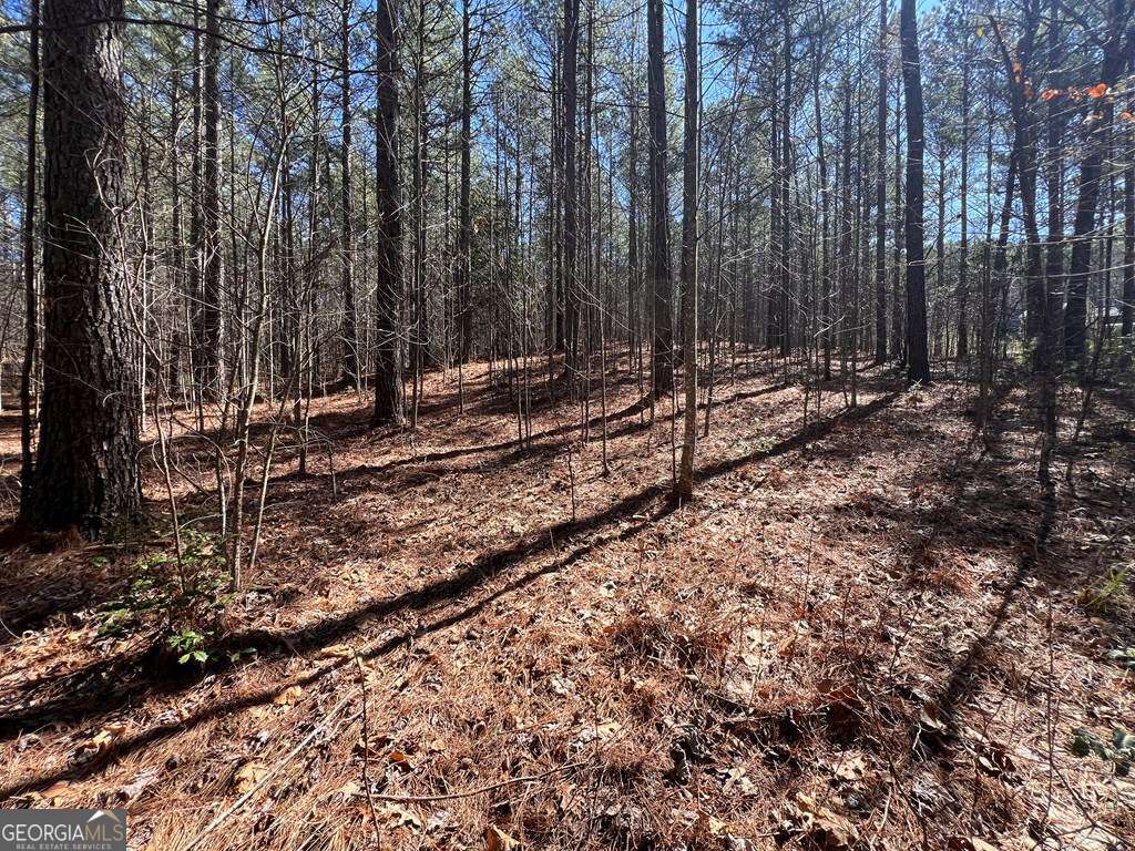Lot 50 Deyton Drive Blairsville GA 30512