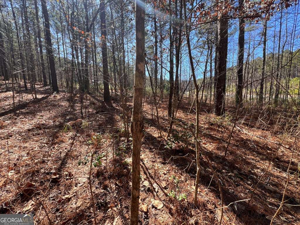 Lot 50 Deyton Drive Blairsville GA 30512