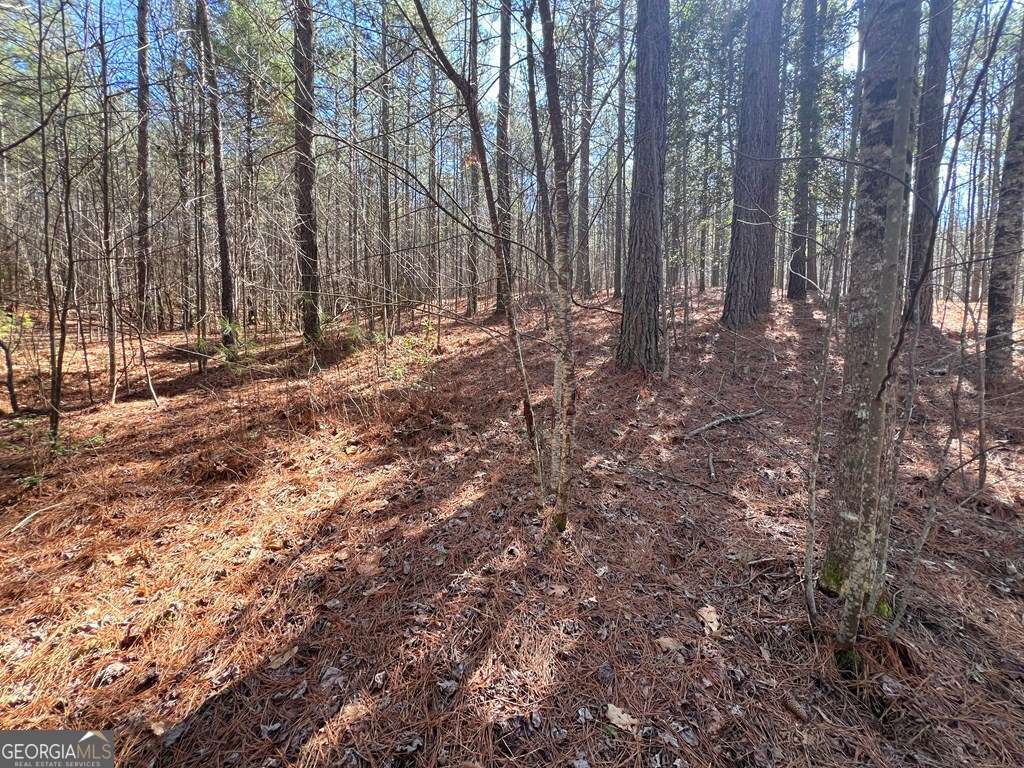 Lot 50 Deyton Drive Blairsville GA 30512