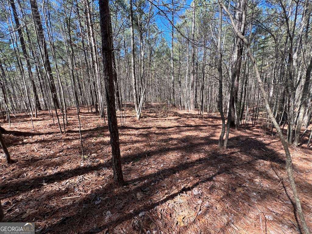 Lot 50 Deyton Drive Blairsville GA 30512