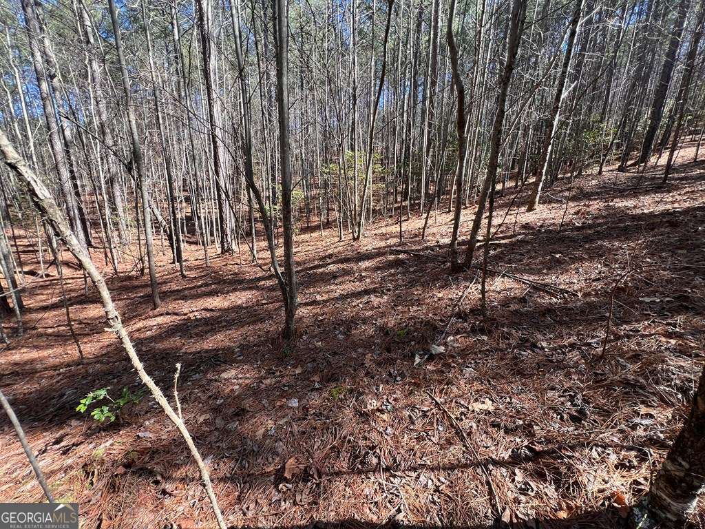 Lot 50 Deyton Drive Blairsville GA 30512