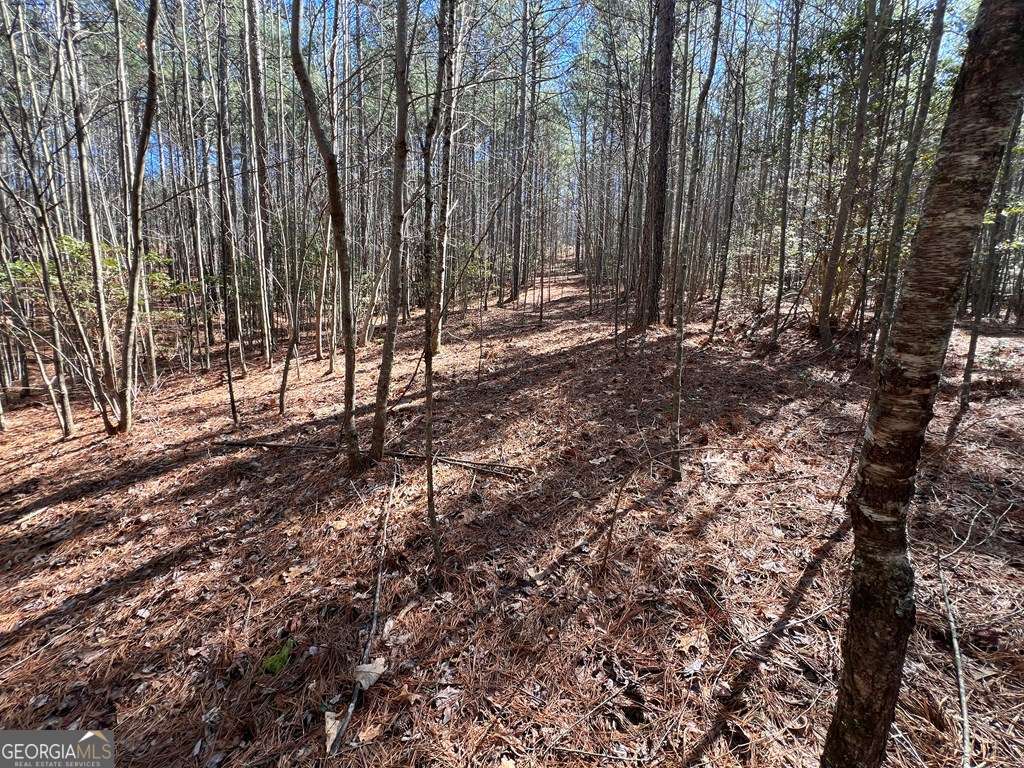 Lot 50 Deyton Drive Blairsville GA 30512