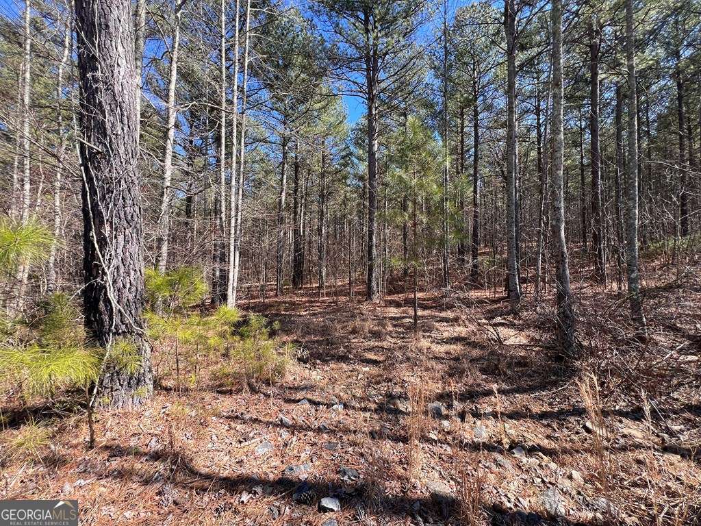 Lot 50 Deyton Drive Blairsville GA 30512