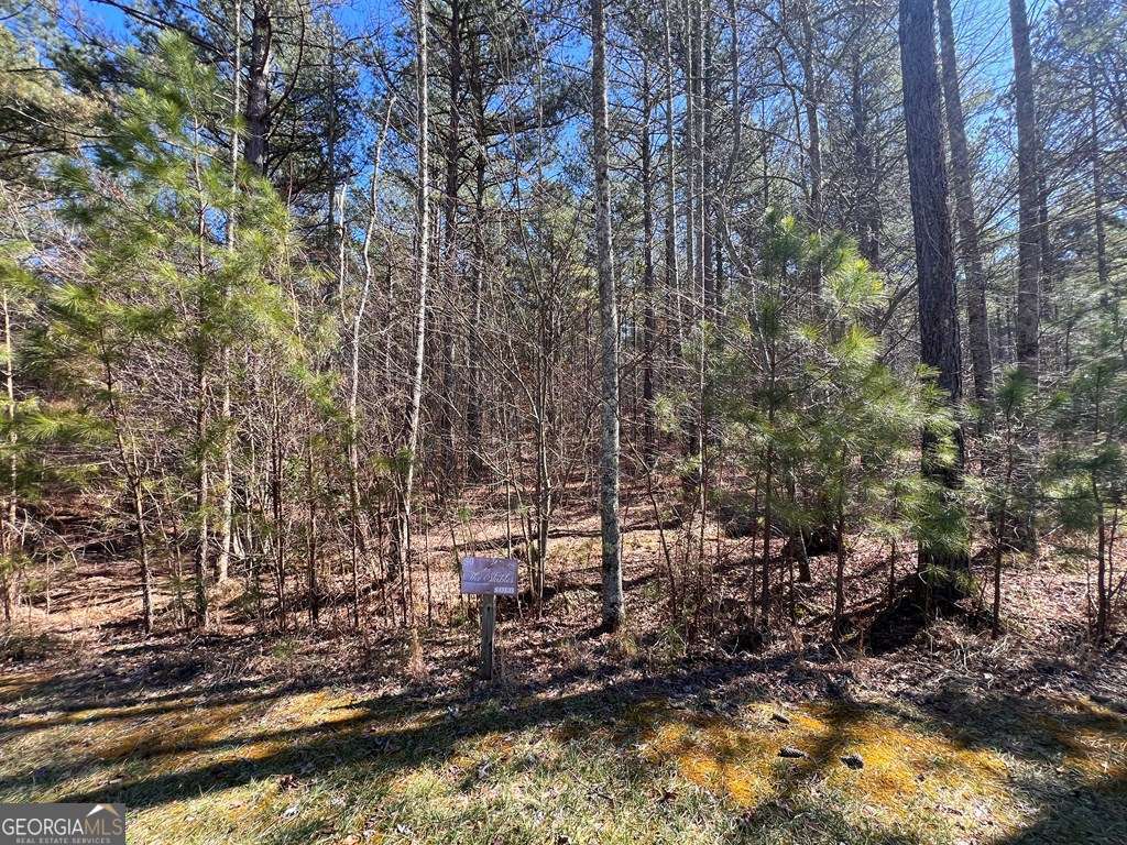 Lot 50 Deyton Drive Blairsville GA 30512
