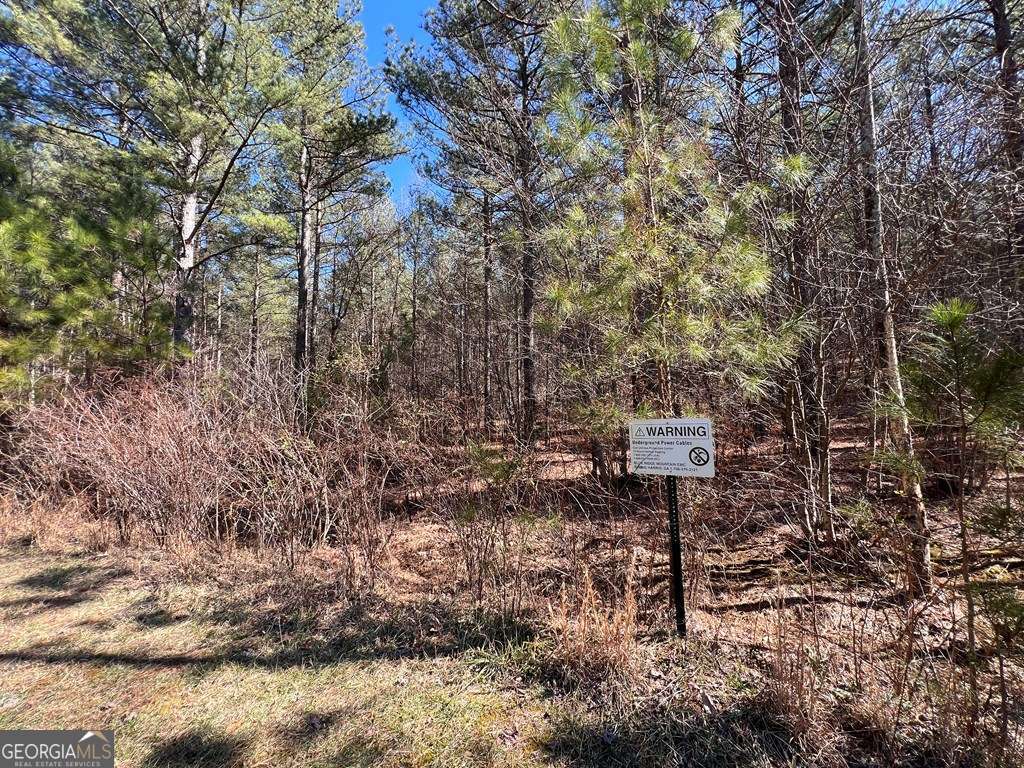 Lot 50 Deyton Drive Blairsville GA 30512