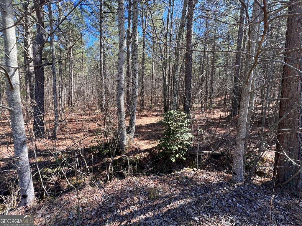 Lot 50 Deyton Drive Blairsville GA 30512