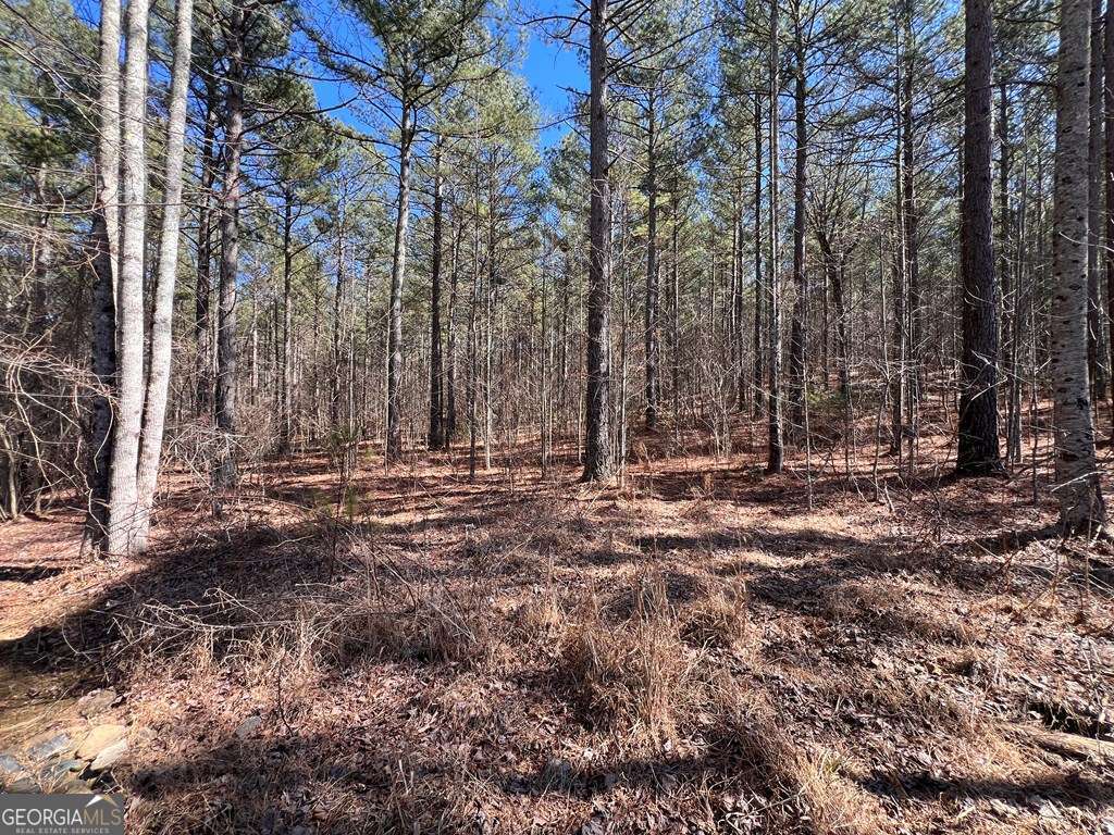 Lot 50 Deyton Drive Blairsville GA 30512