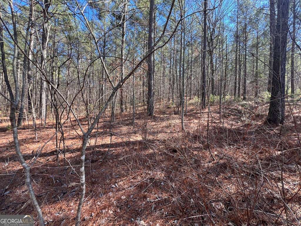 Lot 50 Deyton Drive Blairsville GA 30512