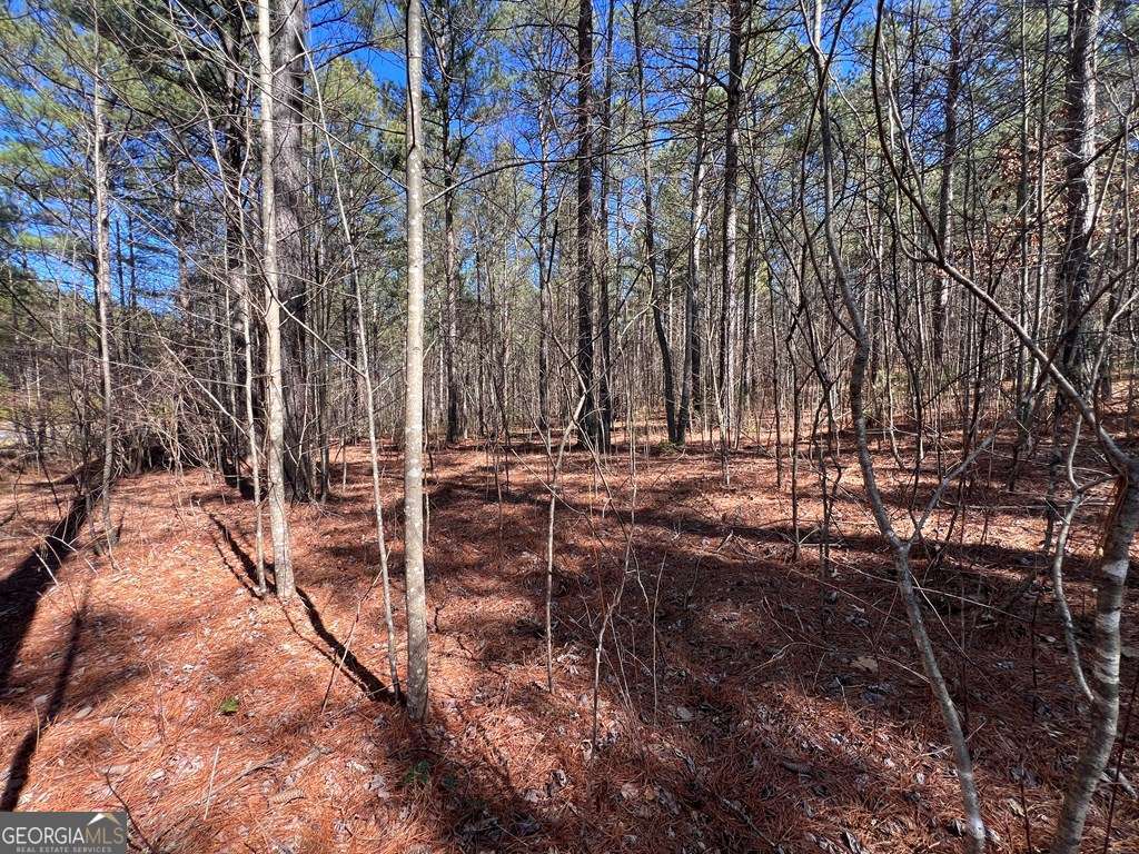 Lot 50 Deyton Drive Blairsville GA 30512