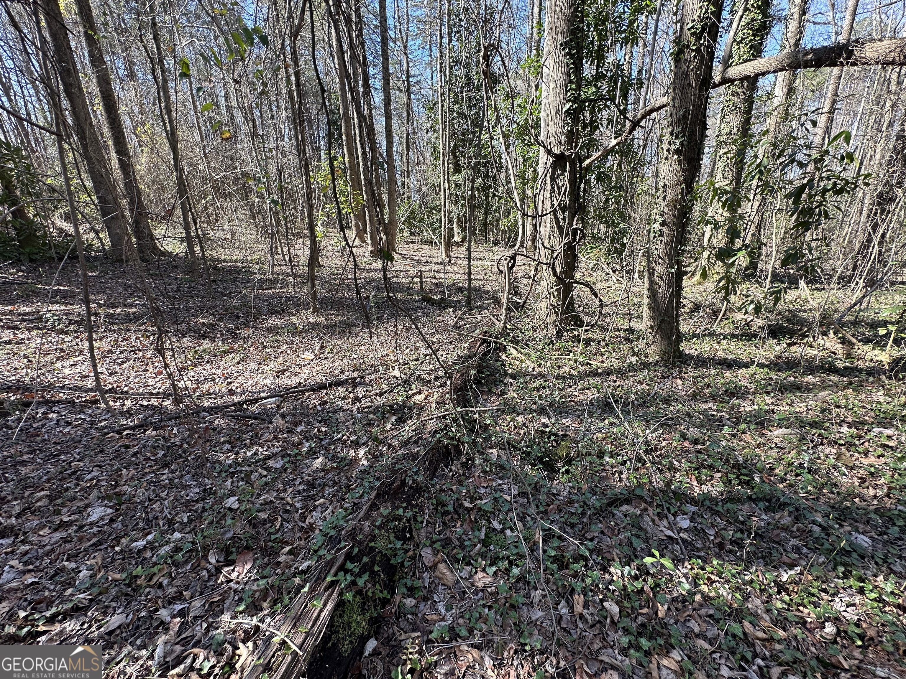0 Stephen Drive Toccoa GA 30577