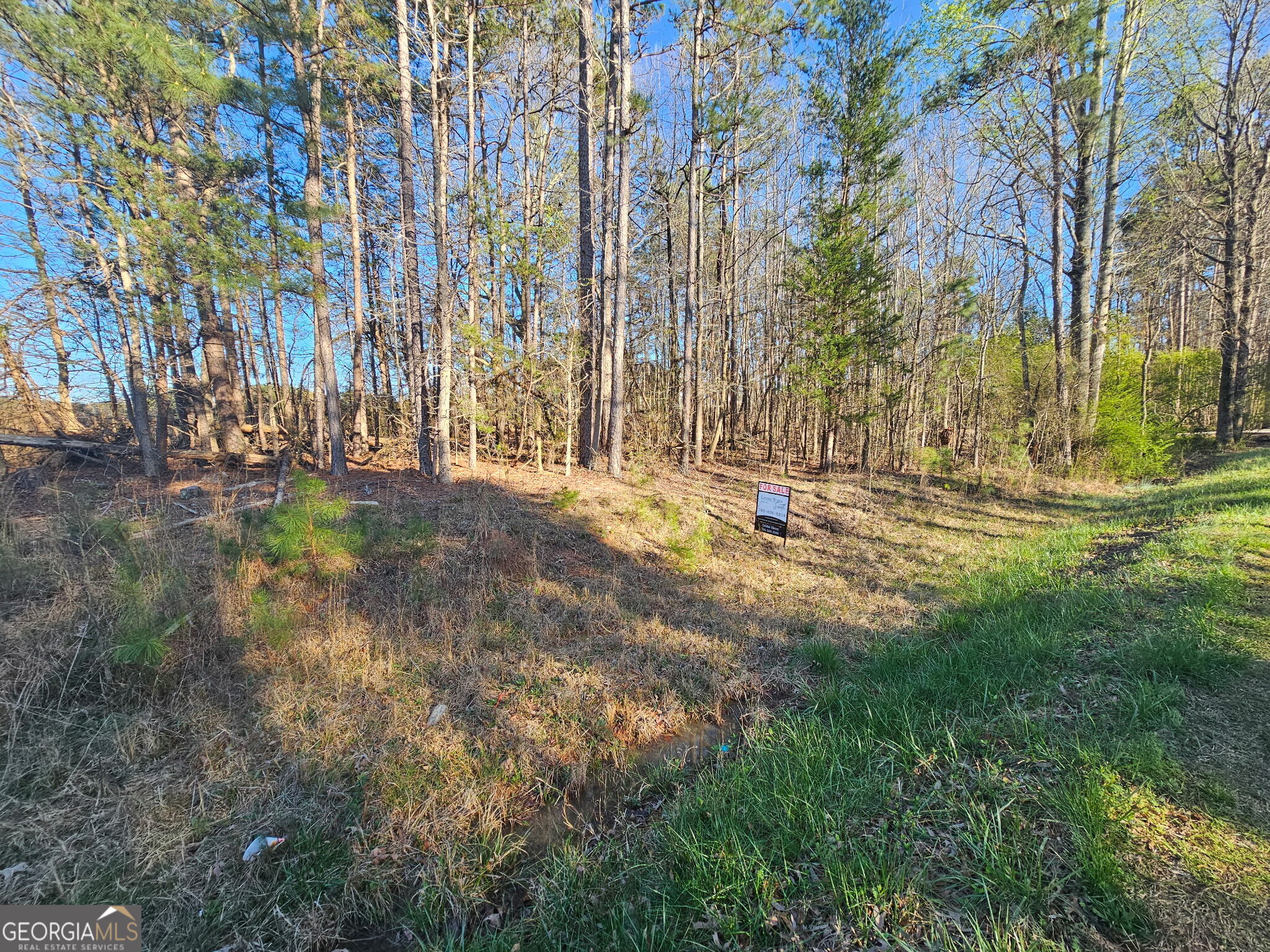 0 Lake Point Road Hartwell GA 30643