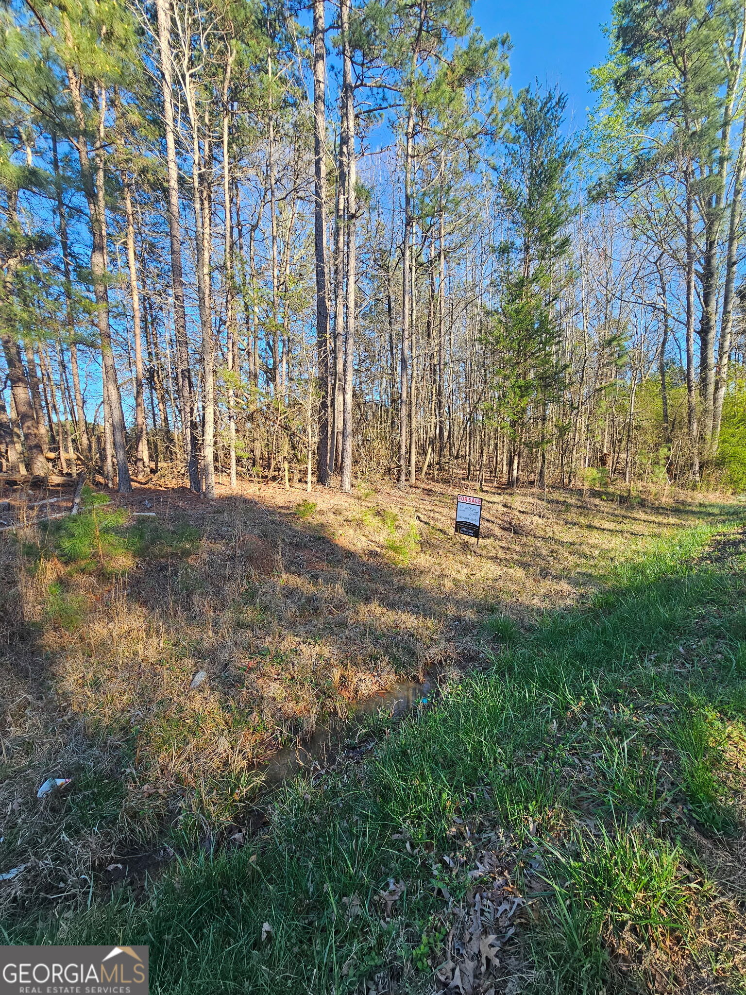 0 Lake Point Road Hartwell GA 30643