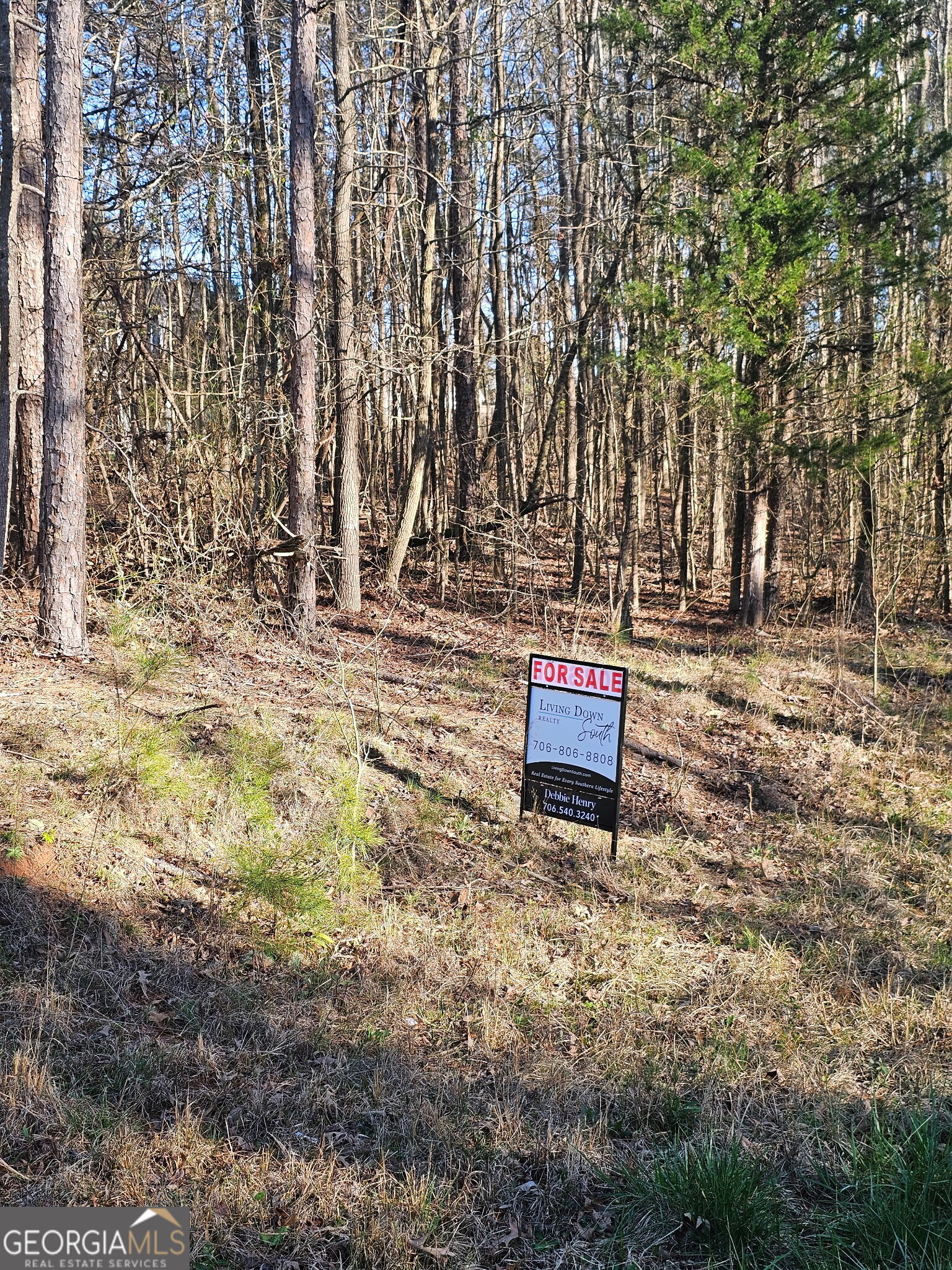 0 Lake Point Road Hartwell GA 30643