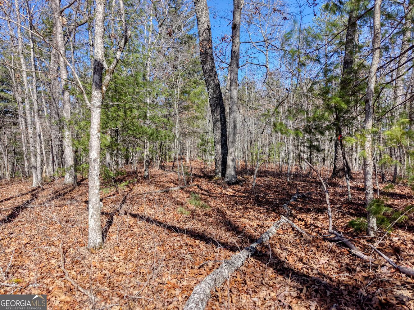 Lot 40 Lola Mae Way Morganton GA 30560