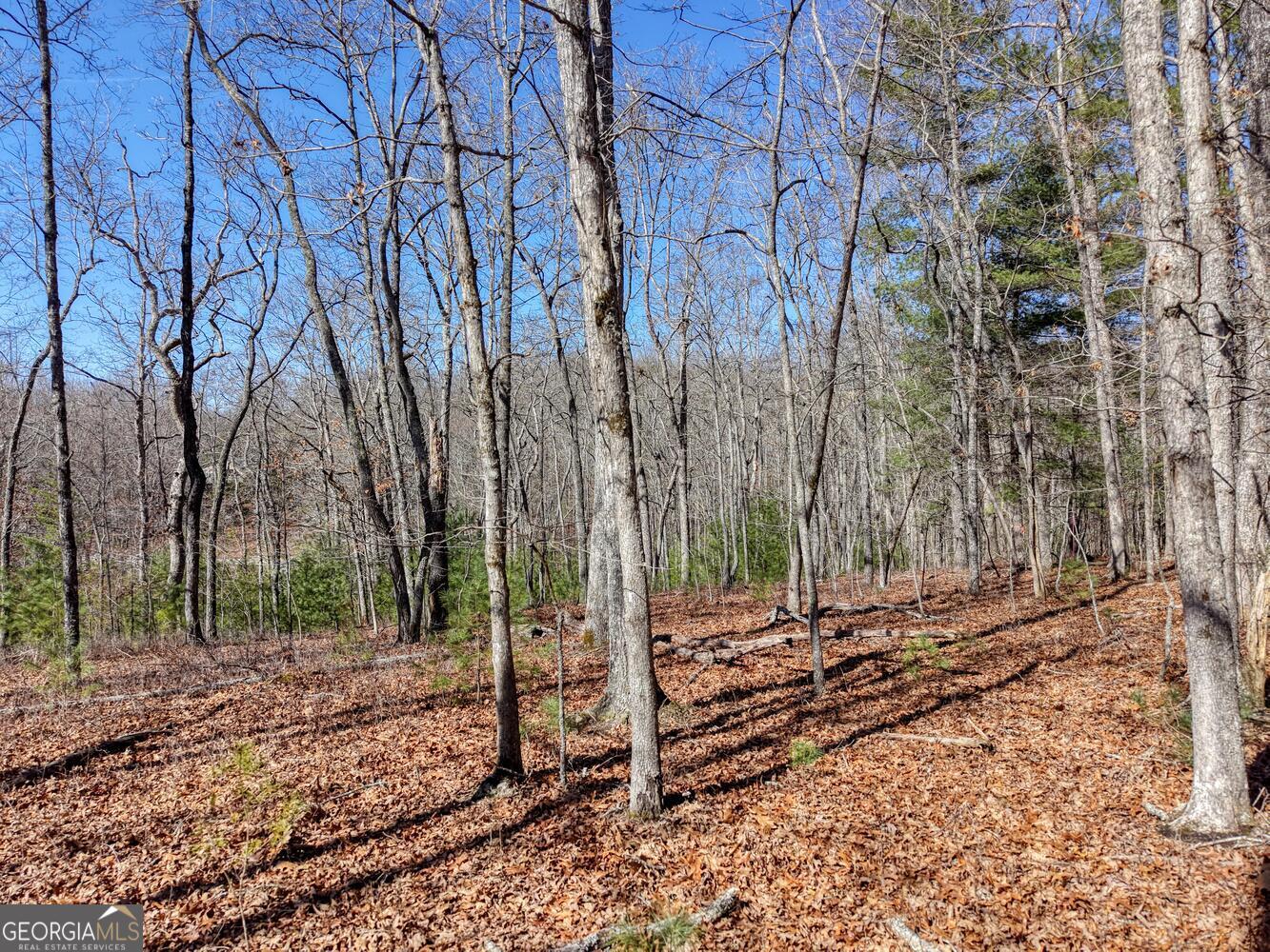 Lot 40 Lola Mae Way Morganton GA 30560