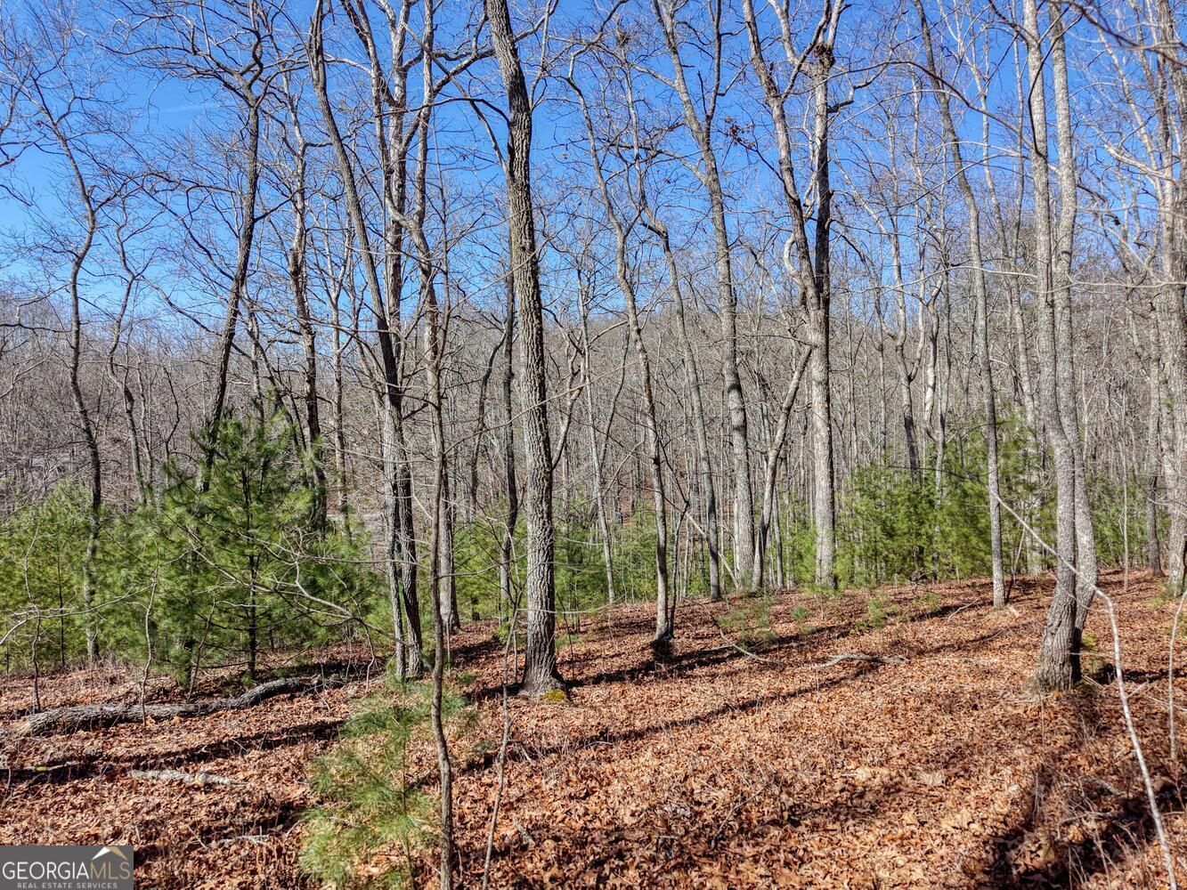Lot 40 Lola Mae Way Morganton GA 30560