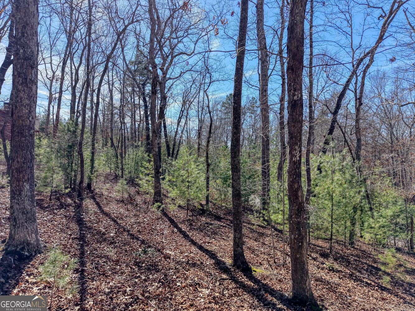 Lot 40 Lola Mae Way Morganton GA 30560