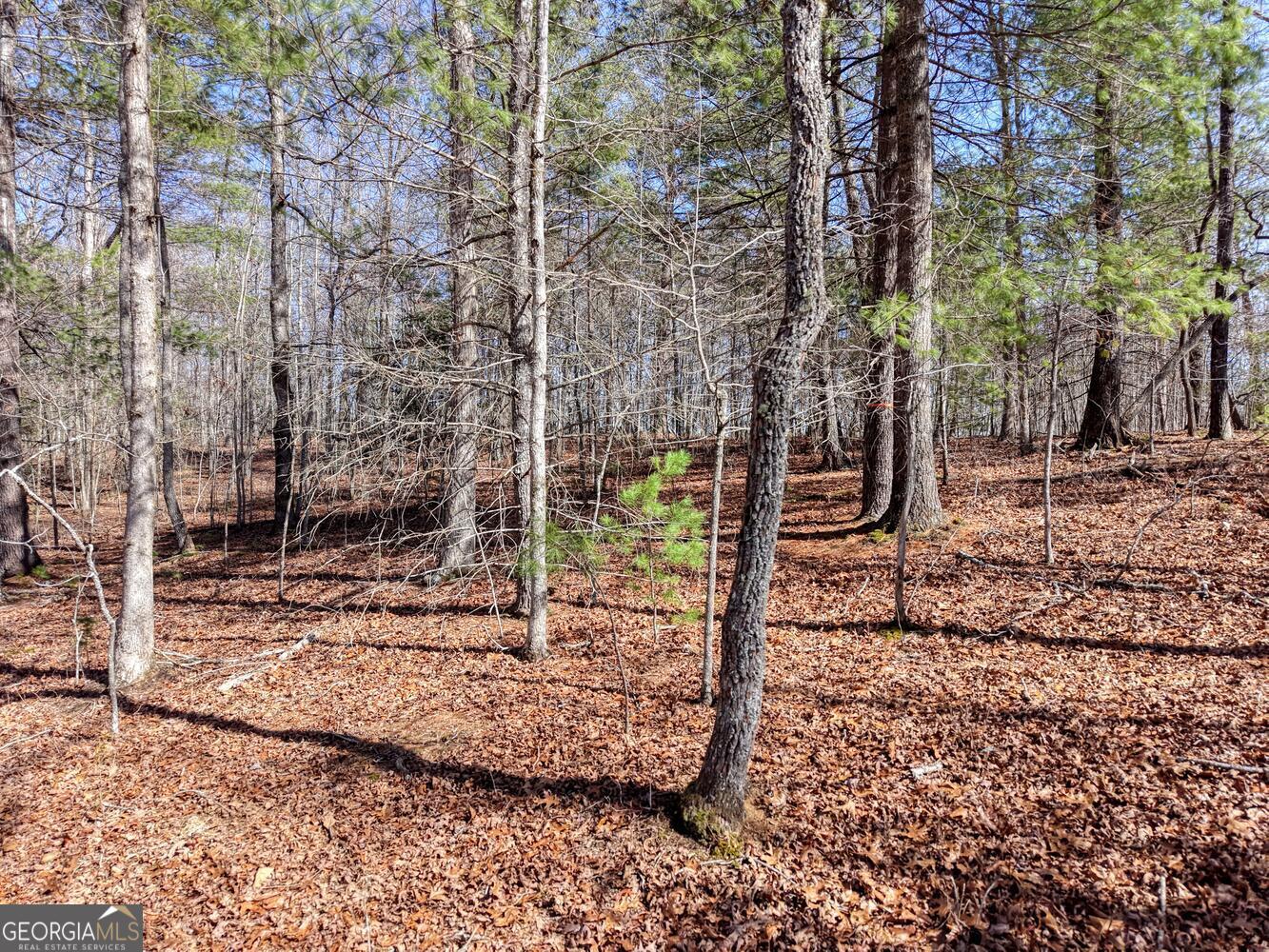 Lot 40 Lola Mae Way Morganton GA 30560