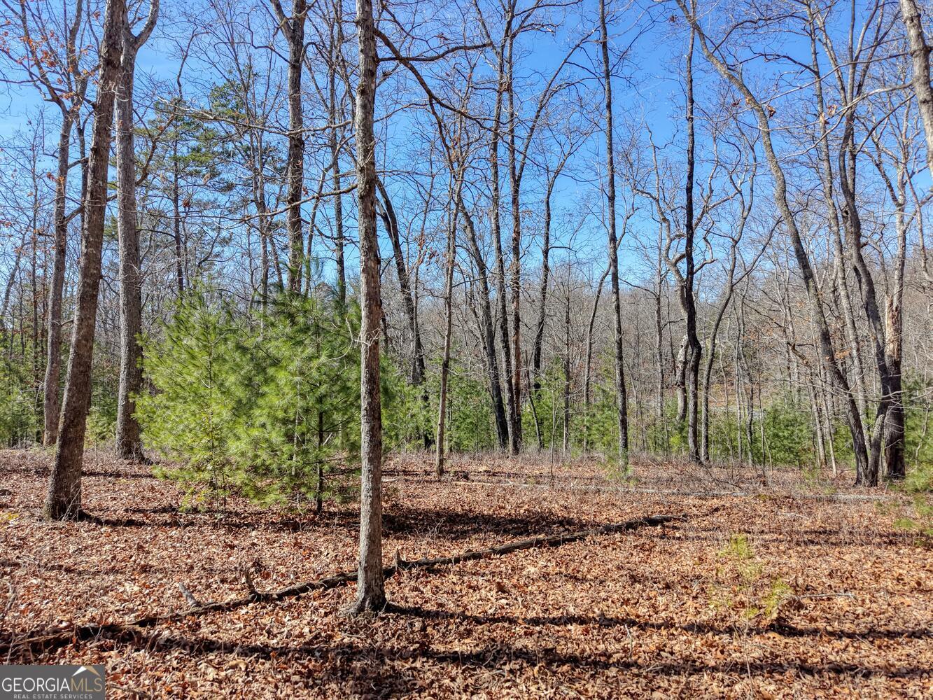 Lot 40 Lola Mae Way Morganton GA 30560