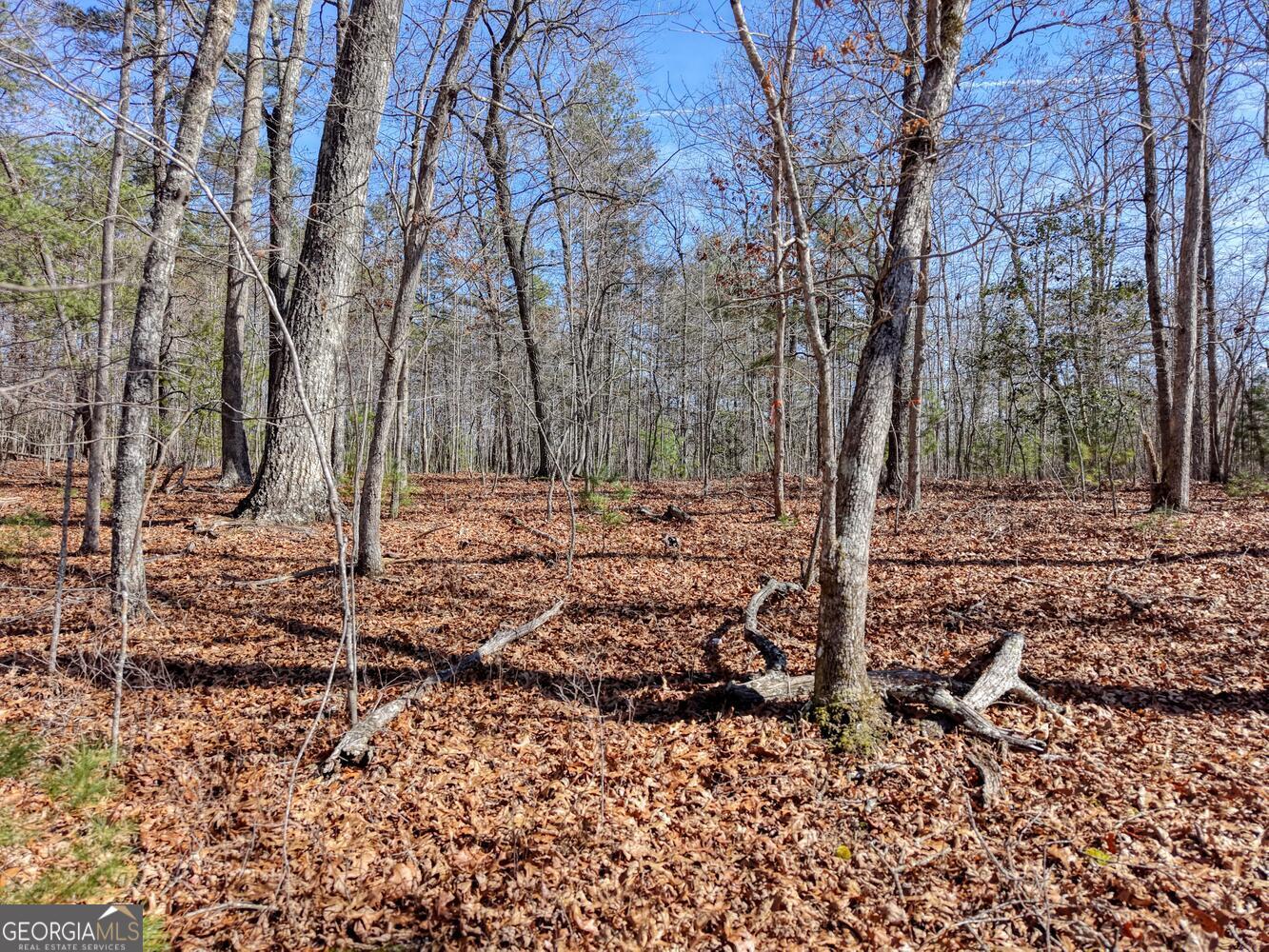 Lot 40 Lola Mae Way Morganton GA 30560