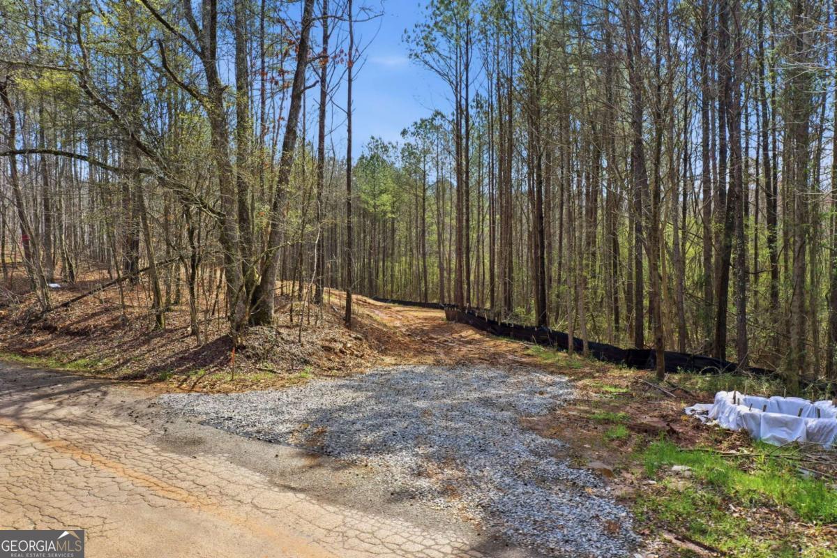 250 Sardis Circle Canton GA 30114