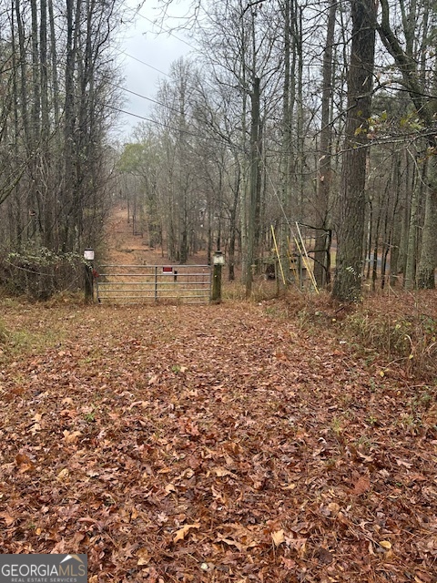 0 Winding Stream Trail Hampton GA 30228