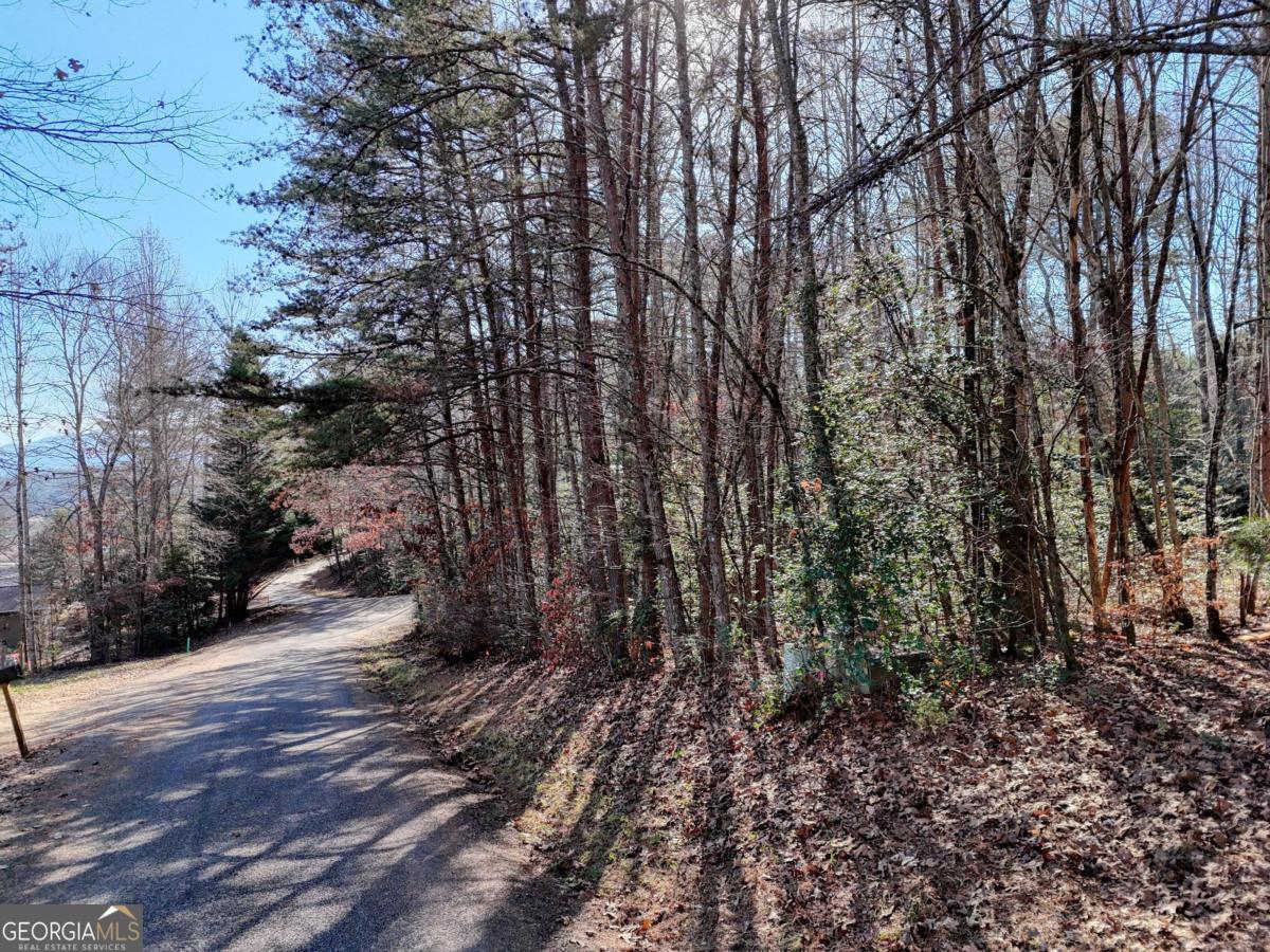 Lot 5 Tombstone Drive Blairsville GA 30512