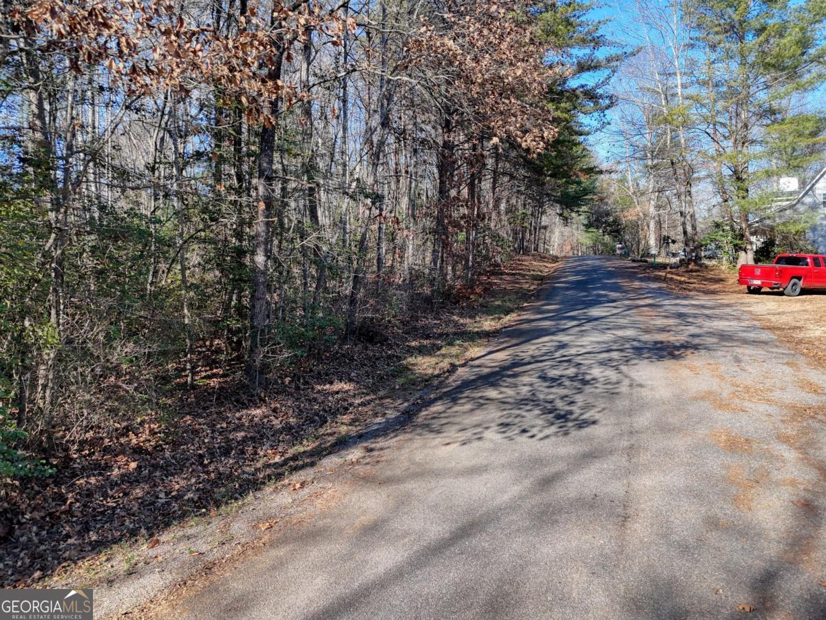 Lot 5 Tombstone Drive Blairsville GA 30512