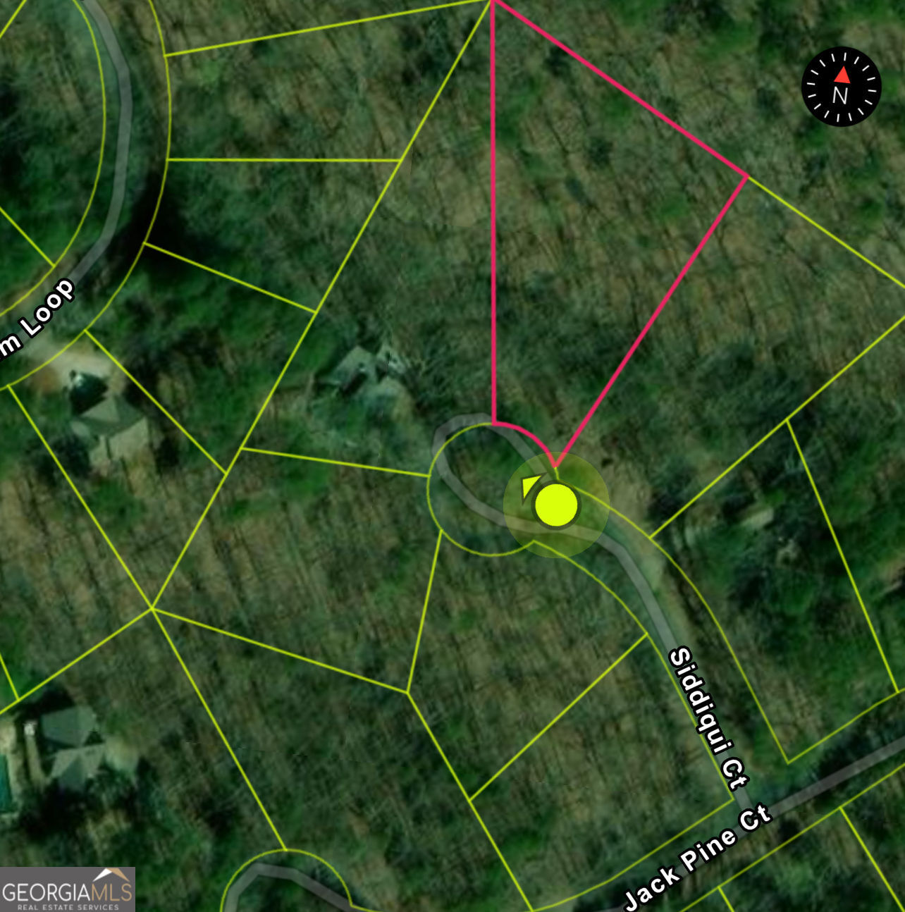 110 Siddiqui Court Waleska GA 30183
