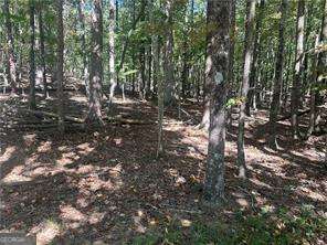LT1352 Willow Terrace Jasper GA 30143
