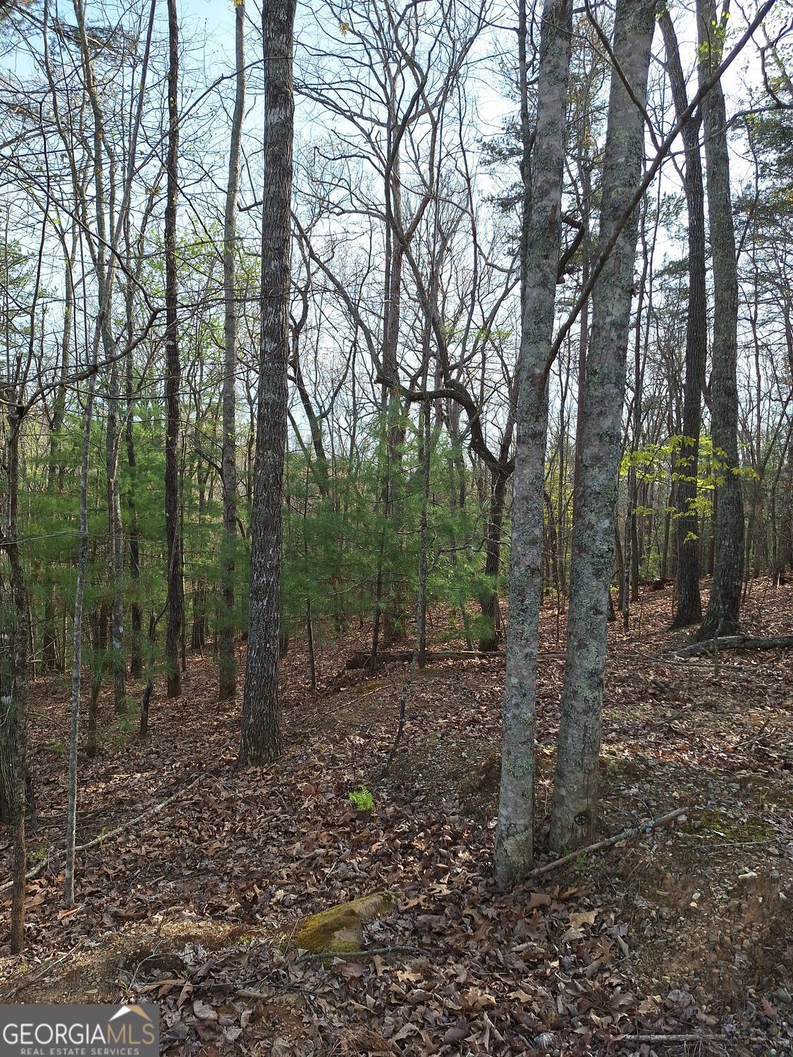 0 Mull Lane Circle Morganton GA 30560