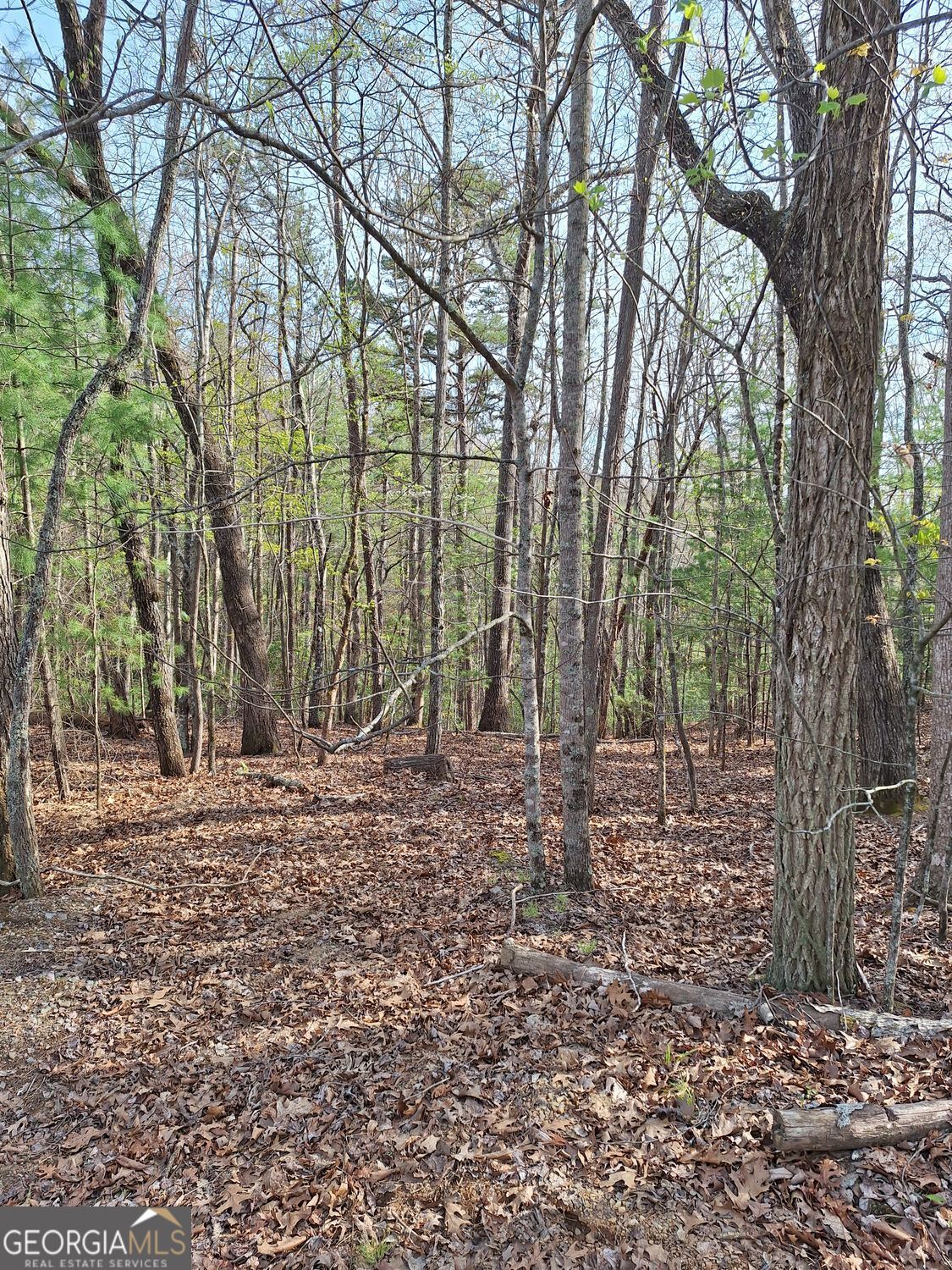 0 Mull Lane Circle Morganton GA 30560