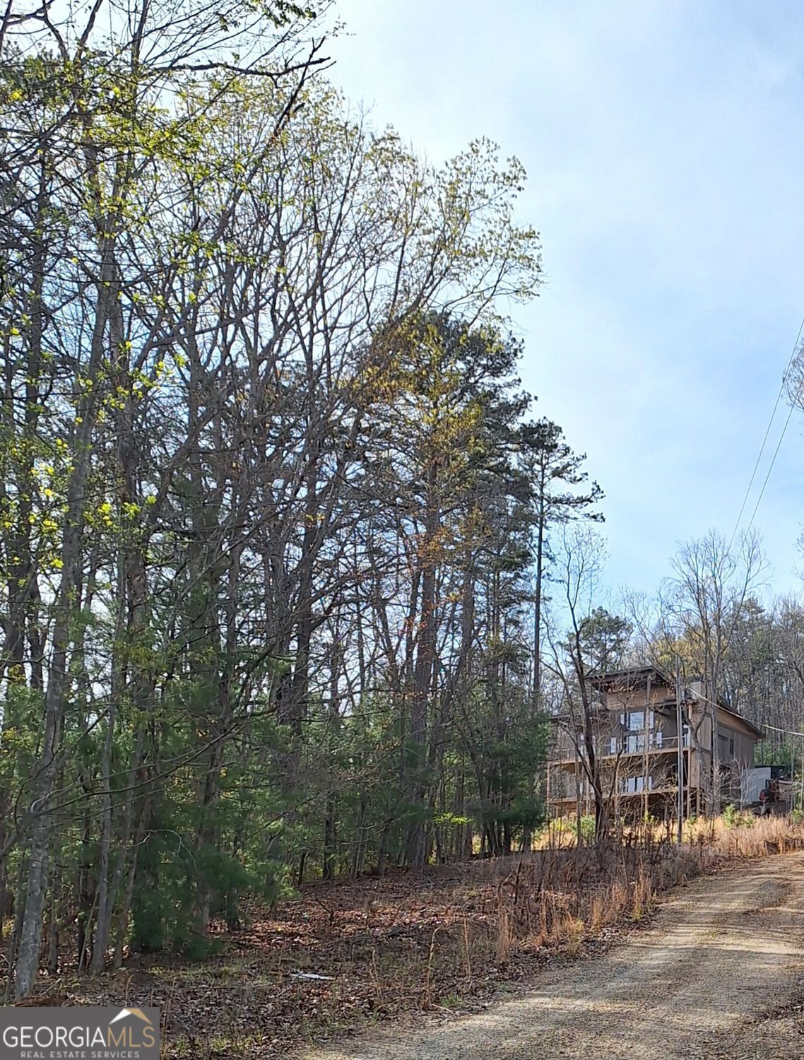 0 Mull Lane Circle Morganton GA 30560