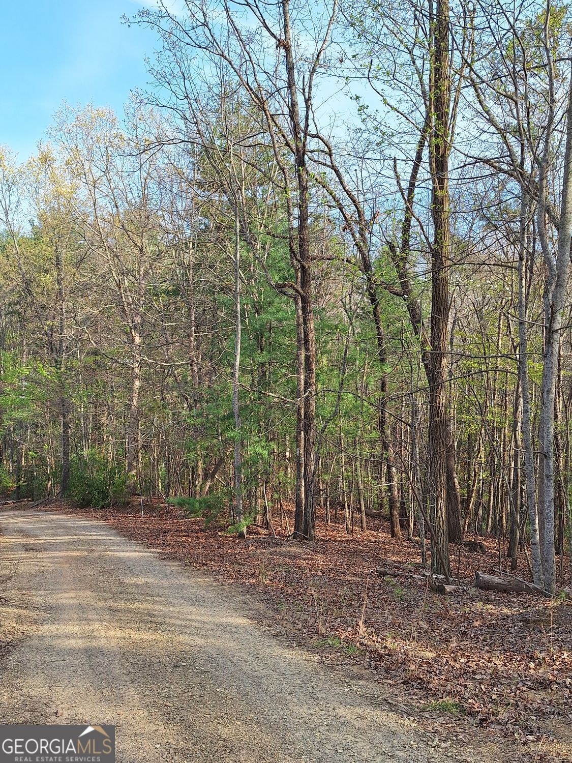 0 Mull Lane Circle Morganton GA 30560