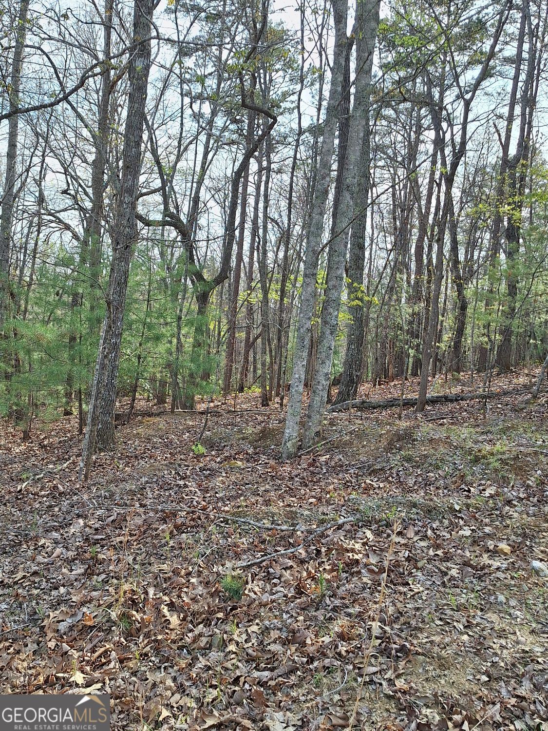 0 Mull Lane Circle Morganton GA 30560